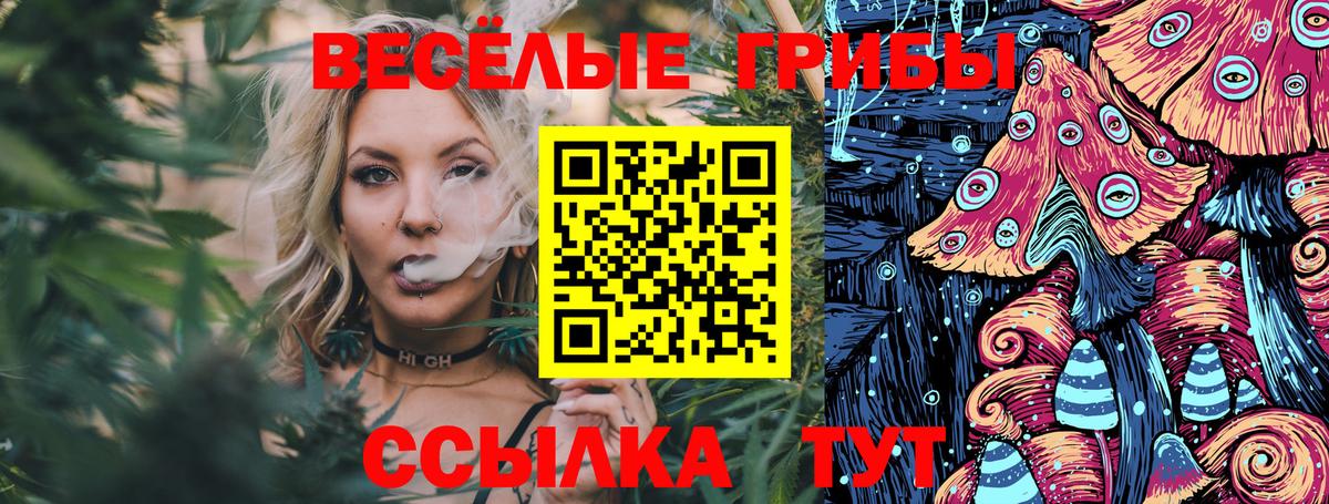 Галлюциногенные грибы Magic Shrooms  Вход с VPN  Каменка 