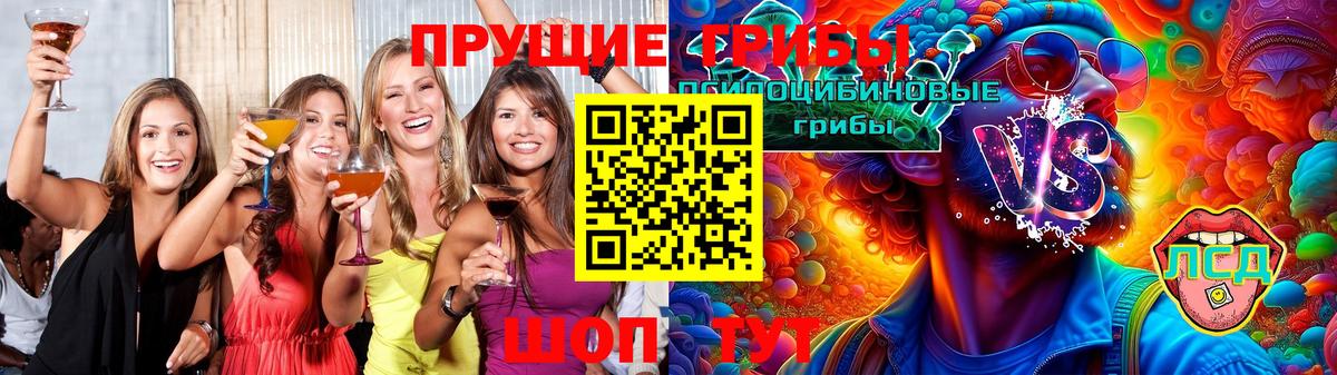 Галлюциногенные грибы прущие грибы Каменка