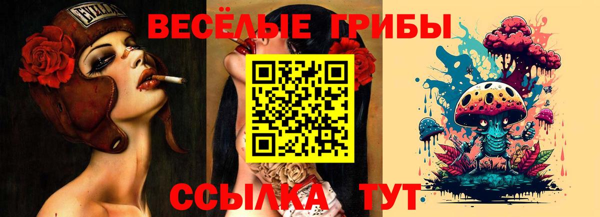 ТГК Каменка